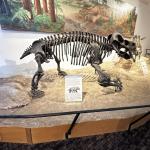 2023OTRA_748 (May 07, 2023)